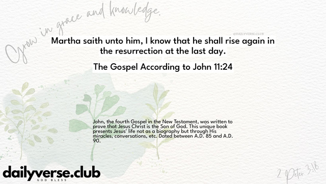 Bible Verse Wallpaper 11:24 from The Gospel According to John