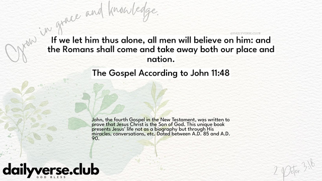 Bible Verse Wallpaper 11:48 from The Gospel According to John