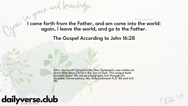 Bible Verse Wallpaper 16:28 from The Gospel According to John