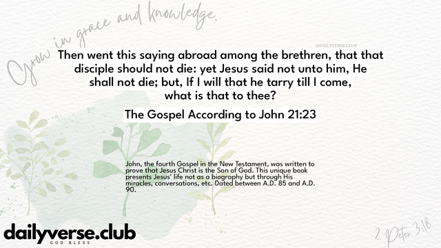Bible Verse Wallpaper 21:23 from The Gospel According to John