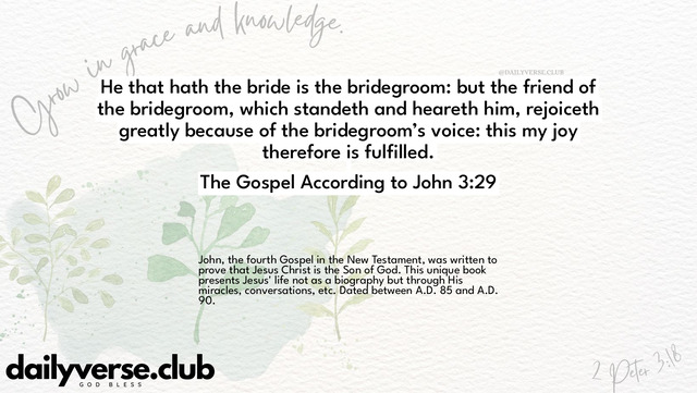Bible Verse Wallpaper 3:29 from The Gospel According to John