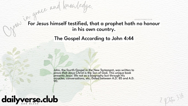 Bible Verse Wallpaper 4:44 from The Gospel According to John