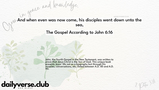 Bible Verse Wallpaper 6:16 from The Gospel According to John