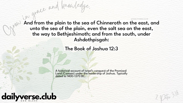 Bible Verse Wallpaper 12:3 from The Book of Joshua