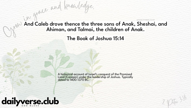 Bible Verse Wallpaper 15:14 from The Book of Joshua