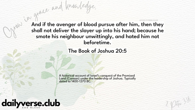 Bible Verse Wallpaper 20:5 from The Book of Joshua