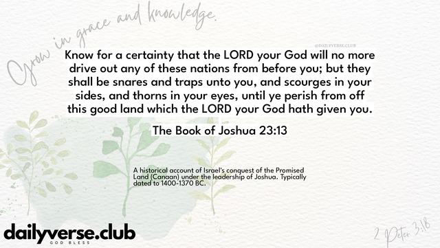 Bible Verse Wallpaper 23:13 from The Book of Joshua