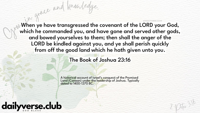 Bible Verse Wallpaper 23:16 from The Book of Joshua