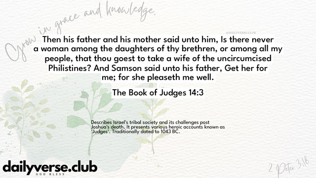 Bible Verse Wallpaper 14:3 from The Book of Judges
