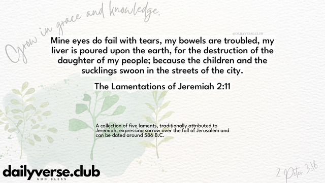 Bible Verse Wallpaper 2:11 from The Lamentations of Jeremiah