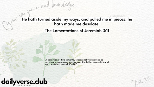 Bible Verse Wallpaper 3:11 from The Lamentations of Jeremiah