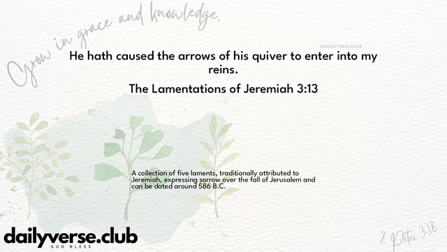 Bible Verse Wallpaper 3:13 from The Lamentations of Jeremiah