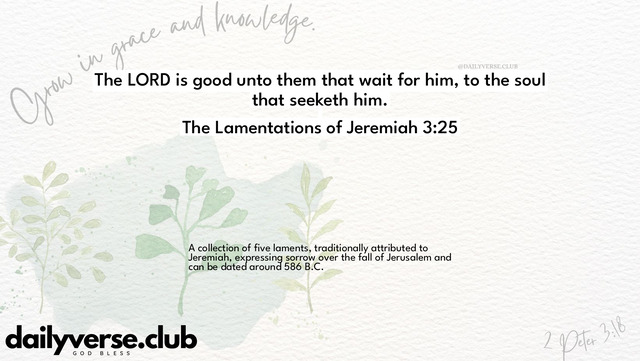 Bible Verse Wallpaper 3:25 from The Lamentations of Jeremiah