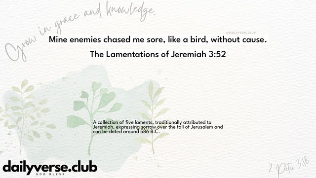 Bible Verse Wallpaper 3:52 from The Lamentations of Jeremiah