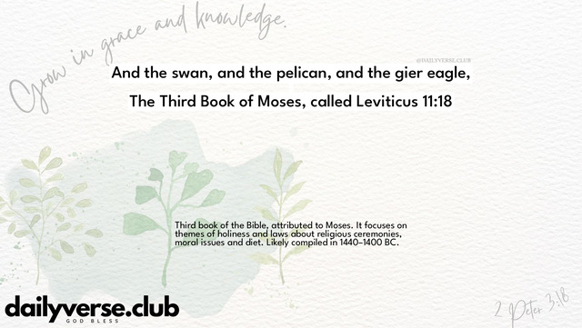 Bible Verse Wallpaper 11:18 from The Third Book of Moses, called Leviticus