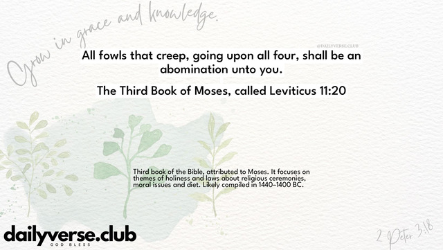 Bible Verse Wallpaper 11:20 from The Third Book of Moses, called Leviticus