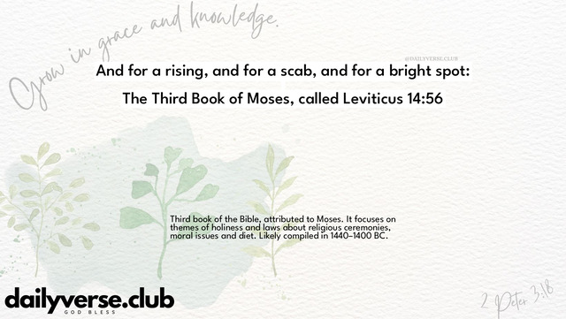 Bible Verse Wallpaper 14:56 from The Third Book of Moses, called Leviticus