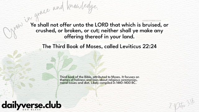 Bible Verse Wallpaper 22:24 from The Third Book of Moses, called Leviticus