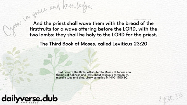 Bible Verse Wallpaper 23:20 from The Third Book of Moses, called Leviticus