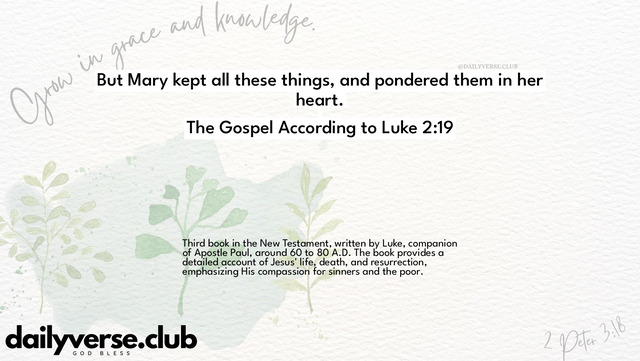Bible Verse Wallpaper 2:19 from The Gospel According to Luke