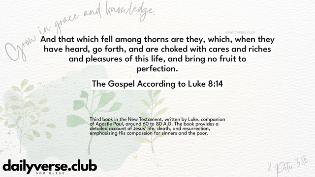Bible Verse Wallpaper 8:14 from The Gospel According to Luke