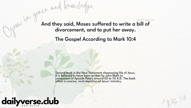 Bible Verse Wallpaper 10:4 from The Gospel According to Mark