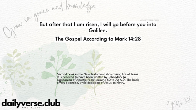Bible Verse Wallpaper 14:28 from The Gospel According to Mark