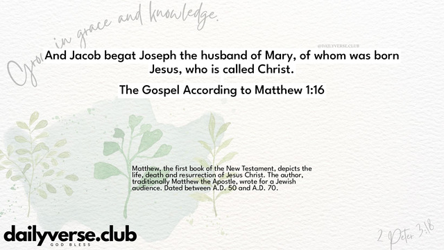 Bible Verse Wallpaper 1:16 from The Gospel According to Matthew