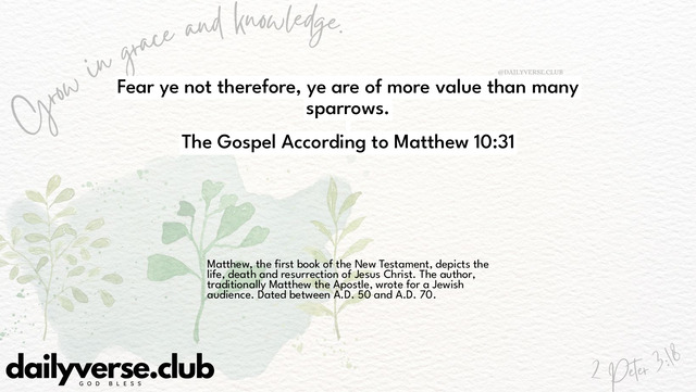 Bible Verse Wallpaper 10:31 from The Gospel According to Matthew