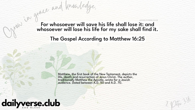 Bible Verse Wallpaper 16:25 from The Gospel According to Matthew