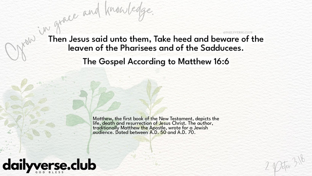 Bible Verse Wallpaper 16:6 from The Gospel According to Matthew