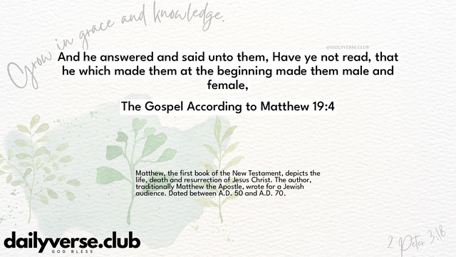 Bible Verse Wallpaper 19:4 from The Gospel According to Matthew