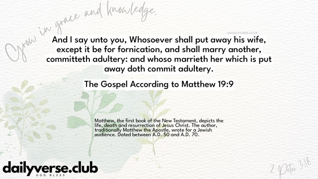 Bible Verse Wallpaper 19:9 from The Gospel According to Matthew