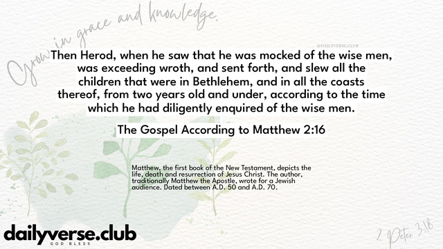 Bible Verse Wallpaper 2:16 from The Gospel According to Matthew