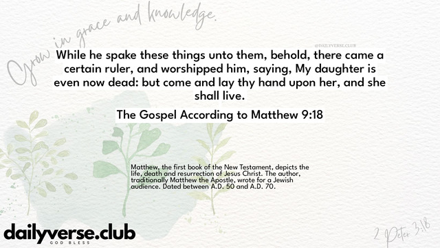 Bible Verse Wallpaper 9:18 from The Gospel According to Matthew