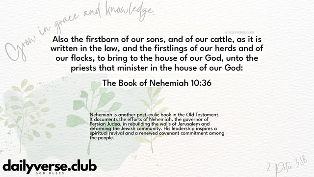 Bible Verse Wallpaper 10:36 from The Book of Nehemiah