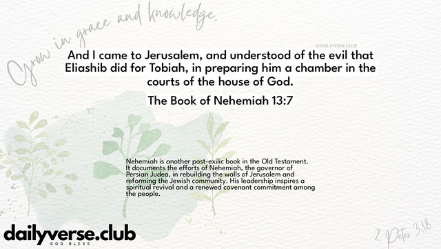 Bible Verse Wallpaper 13:7 from The Book of Nehemiah