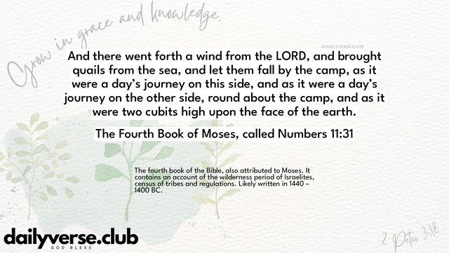 Bible Verse Wallpaper 11:31 from The Fourth Book of Moses, called Numbers