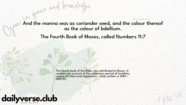 Bible Verse Wallpaper 11:7 from The Fourth Book of Moses, called Numbers
