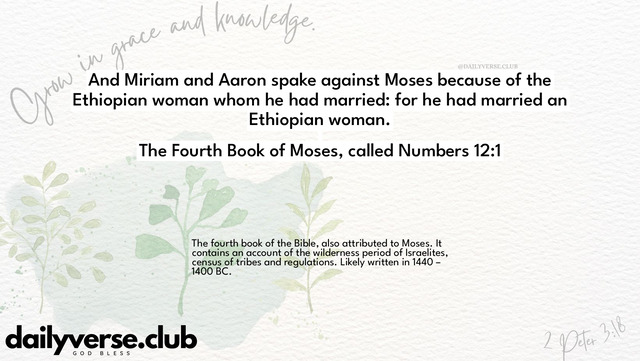 Bible Verse Wallpaper 12:1 from The Fourth Book of Moses, called Numbers