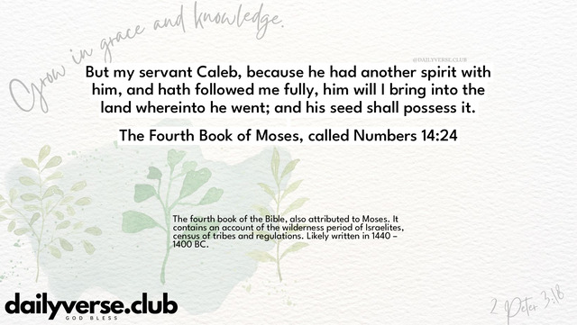 Bible Verse Wallpaper 14:24 from The Fourth Book of Moses, called Numbers