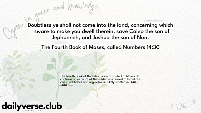 Bible Verse Wallpaper 14:30 from The Fourth Book of Moses, called Numbers
