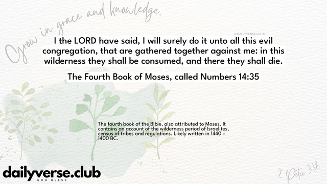 Bible Verse Wallpaper 14:35 from The Fourth Book of Moses, called Numbers