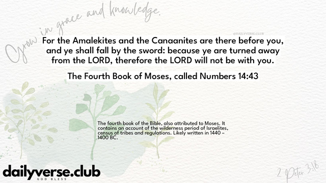 Bible Verse Wallpaper 14:43 from The Fourth Book of Moses, called Numbers