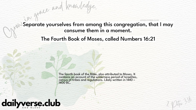 Bible Verse Wallpaper 16:21 from The Fourth Book of Moses, called Numbers