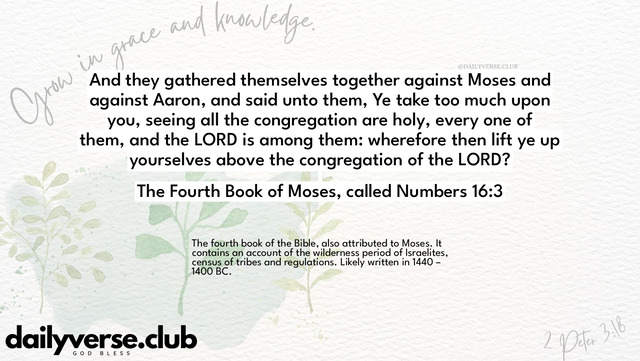 Bible Verse Wallpaper 16:3 from The Fourth Book of Moses, called Numbers