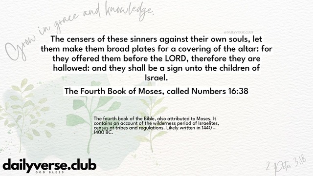 Bible Verse Wallpaper 16:38 from The Fourth Book of Moses, called Numbers