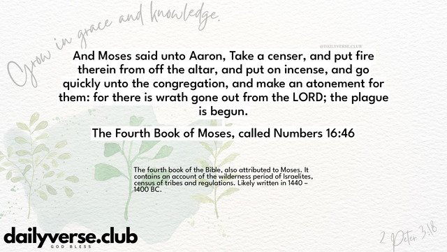 Bible Verse Wallpaper 16:46 from The Fourth Book of Moses, called Numbers