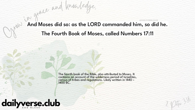 Bible Verse Wallpaper 17:11 from The Fourth Book of Moses, called Numbers
