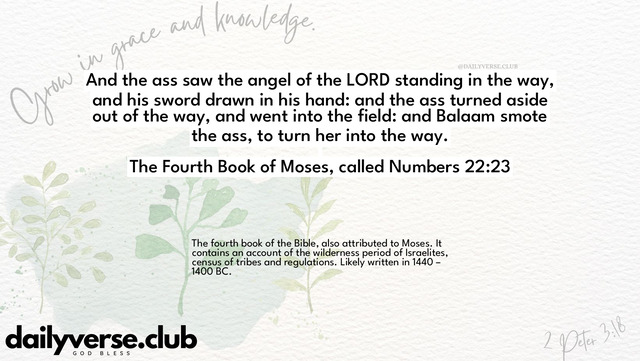 Bible Verse Wallpaper 22:23 from The Fourth Book of Moses, called Numbers